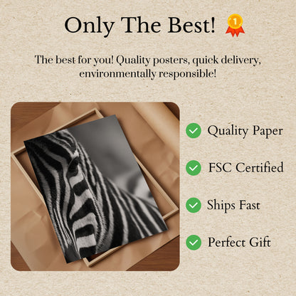 Monochrome Zebra Close-Up Poster