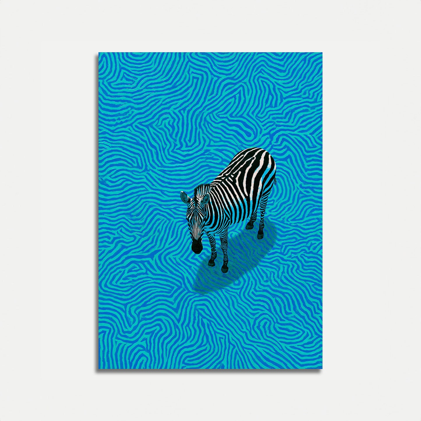 Plakat "Zebra w niebieskich falach"