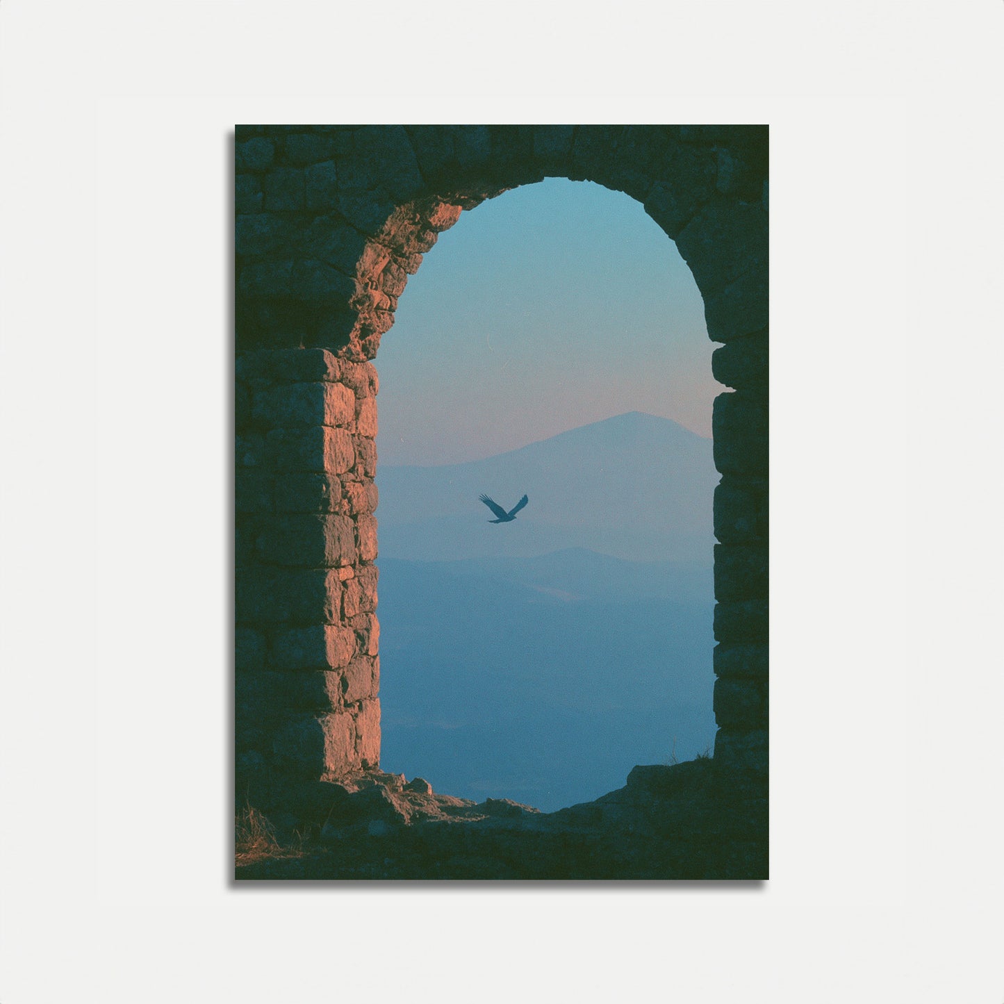 Billede: Fugl flyver gennem gammel bue