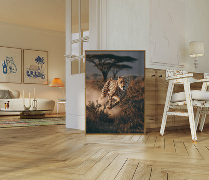 Cheetah Running in Dust Poster
