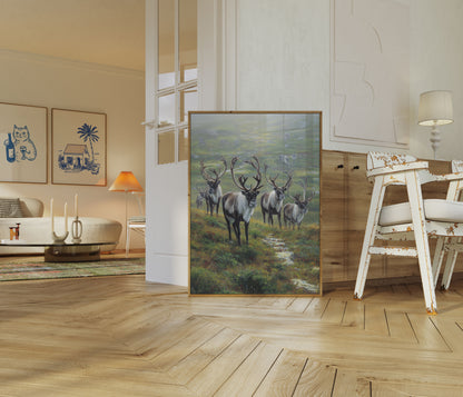 Caribou Herd in Arctic Grassland Poster