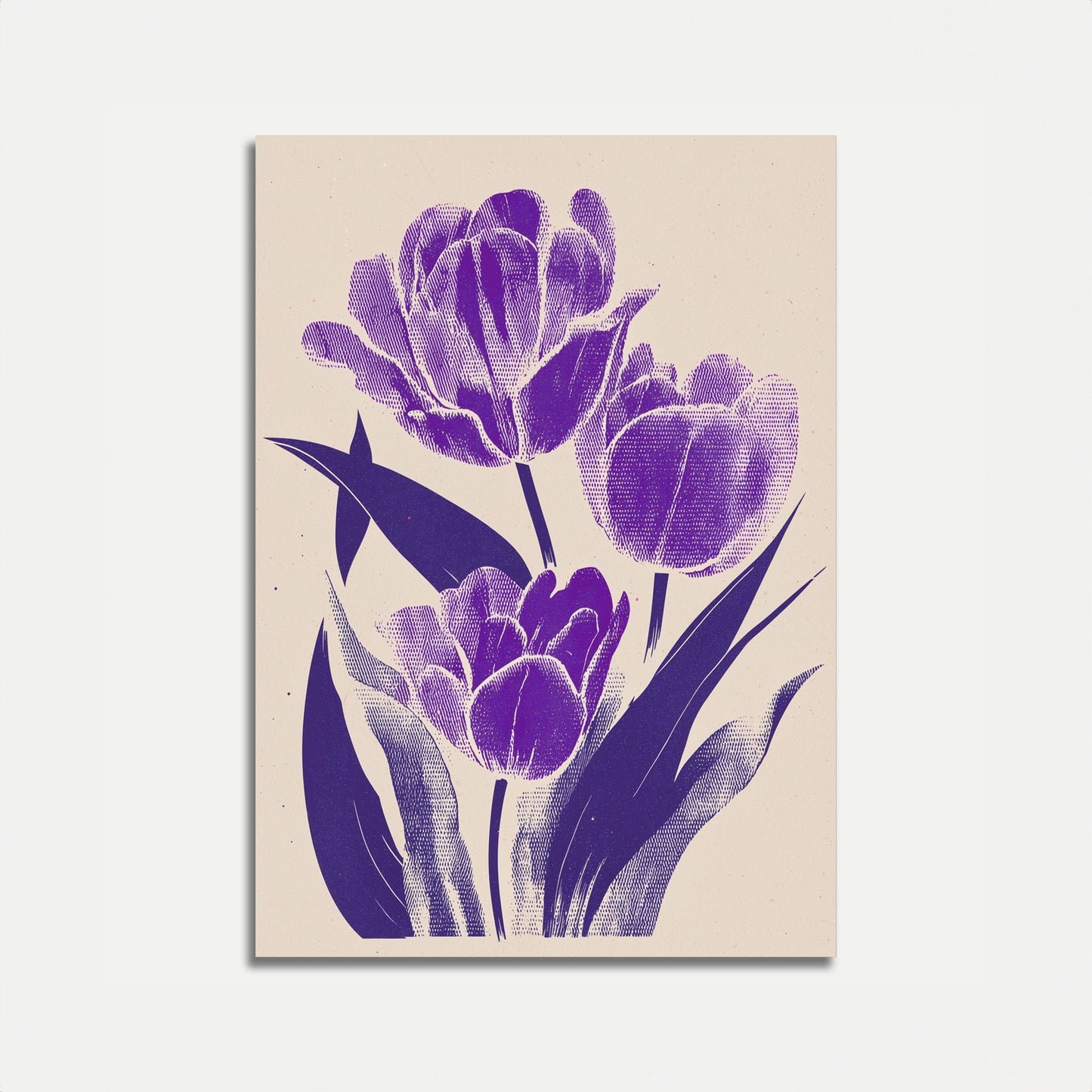 Fioletowe Tulipany Plakat Botaniczny