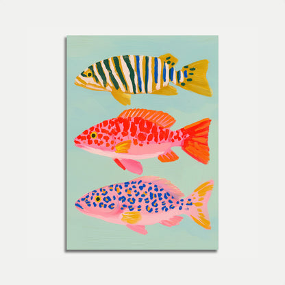 Pôster de Coleção de Peixes Tropicais