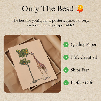 Póster de jirafa alcanzando un naranjo