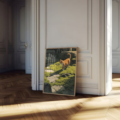 Orange Tabby Cat Forest Stream Poster