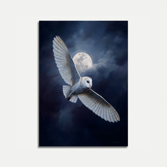 Affiche du Vol du Hibou Effraie au Clair de Lune
