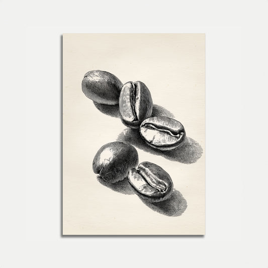 Vintage Coffee Beans Poster