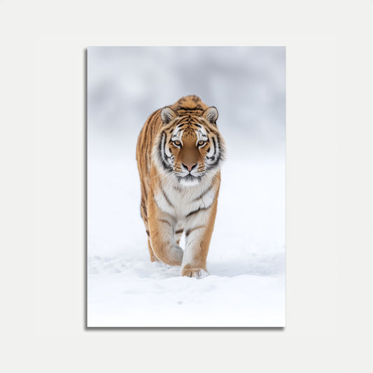 Majestic Tiger in Snow Poster