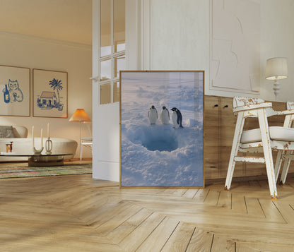 Antarctic Penguins on Ice Poster