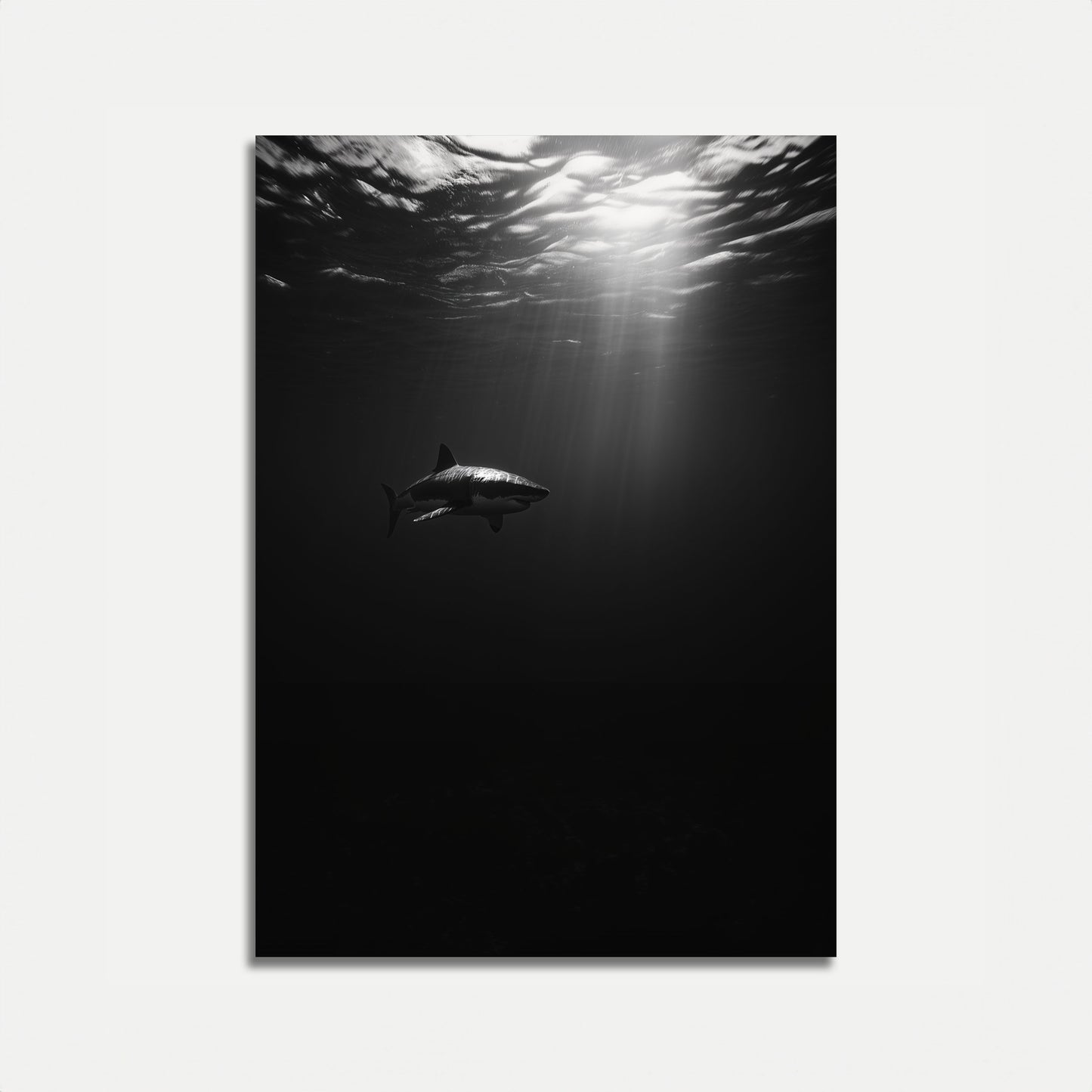 Underwater Predator Silhouette Poster