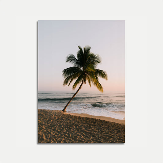 Tropical Palm Beach Sunset Poster