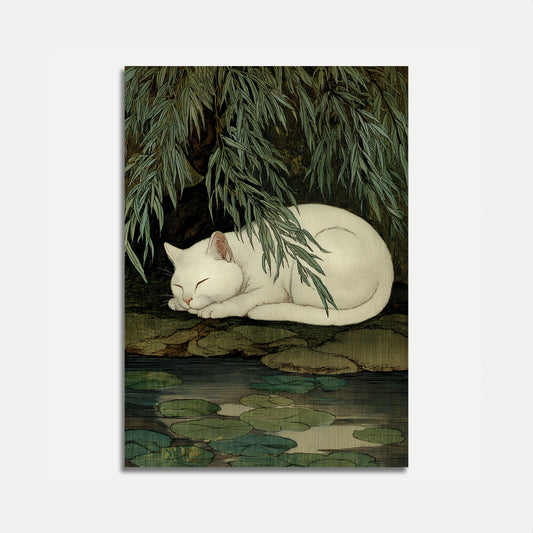 Witte Kat bij de Vijver Poster