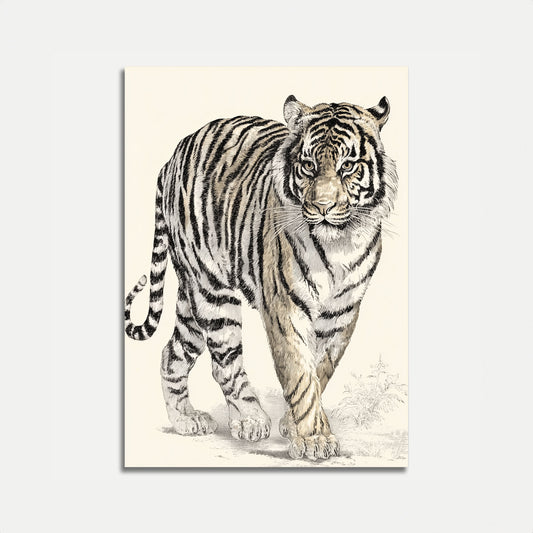 Majestic Bengal Tiger Art Poster