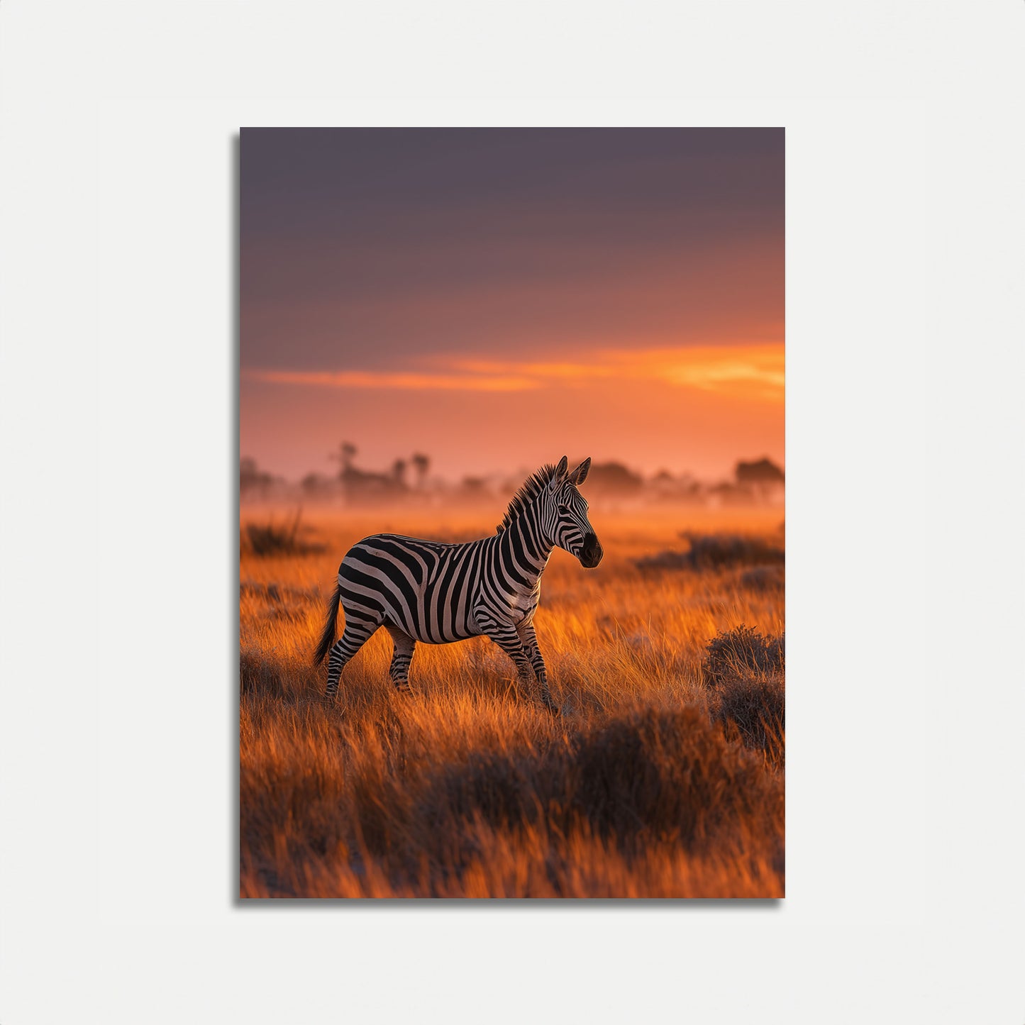 Sunset Savanna Zebra Poster