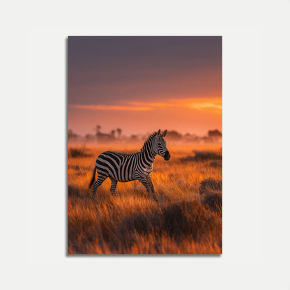 Sunset Savanna Zebra Poster