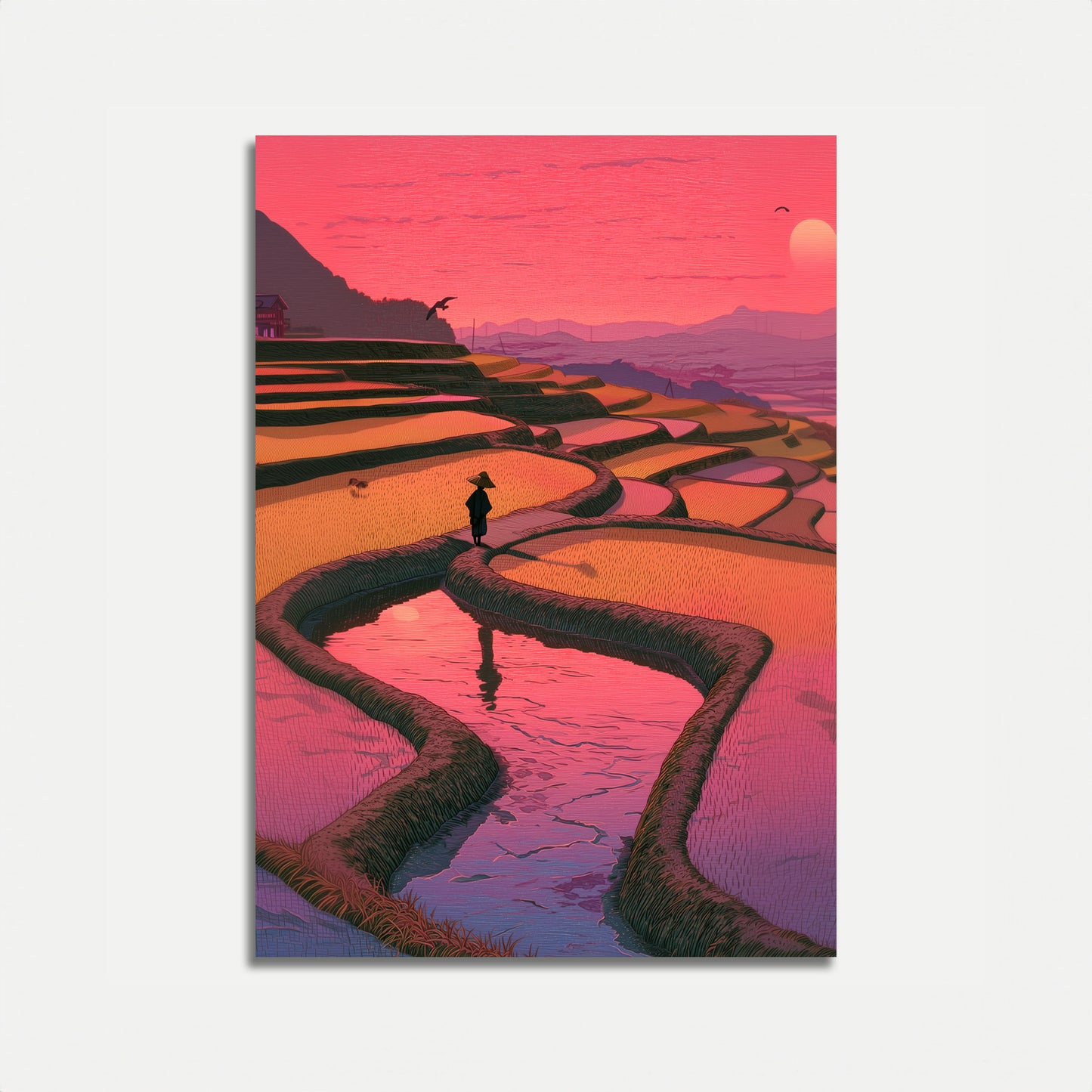 Rice Terraces at Sunset Poster