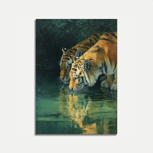 Tigers Drinking Water Poster