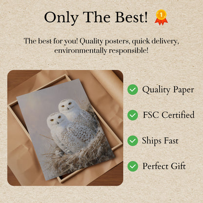 Snöuggleparet Vinteraffisch