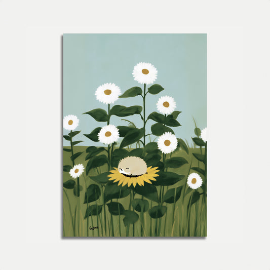 Affiche de Contentement du Champ de Marguerites