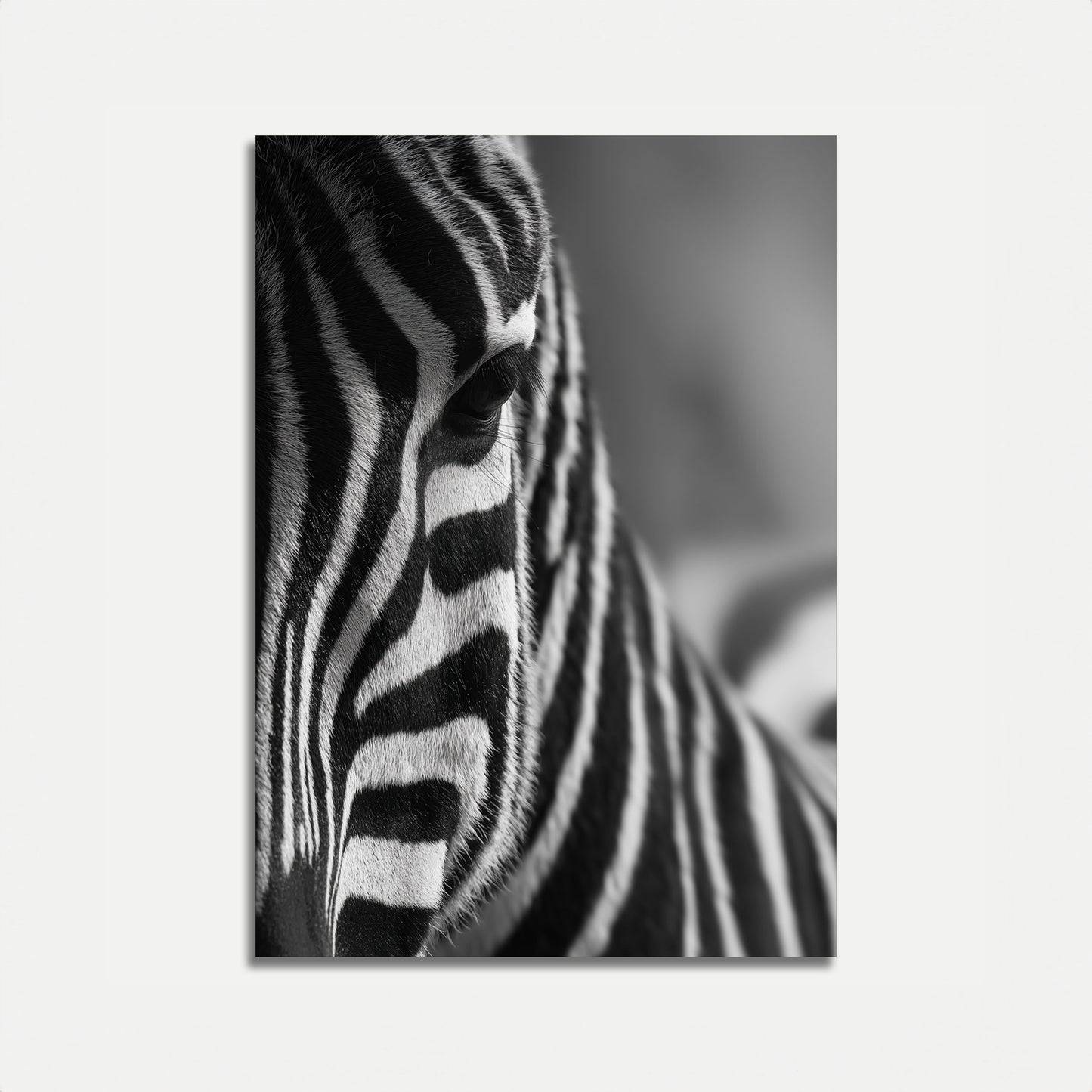 Monochrome Zebra Close-Up Poster
