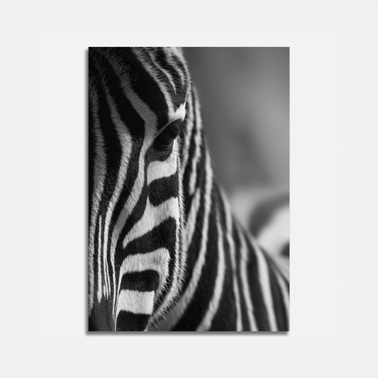 Monochrome Zebra Close-Up Poster