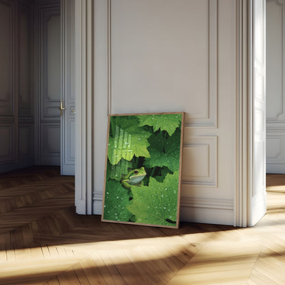 Green Frog Among Lily Pads Poster