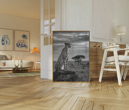 Póster de la majestuosa sabana del guepardo