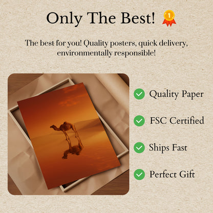 Desert Camel Golden Reflection Poster