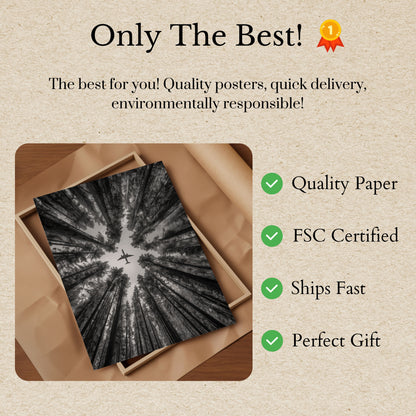 Plakát Letadla Nad Lesem