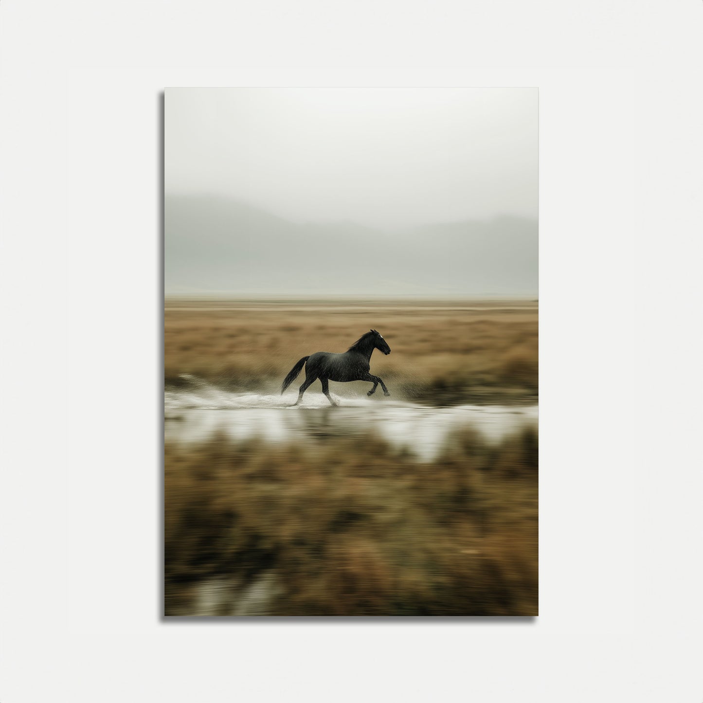 Wilde Zwarte Paard Rennend Poster