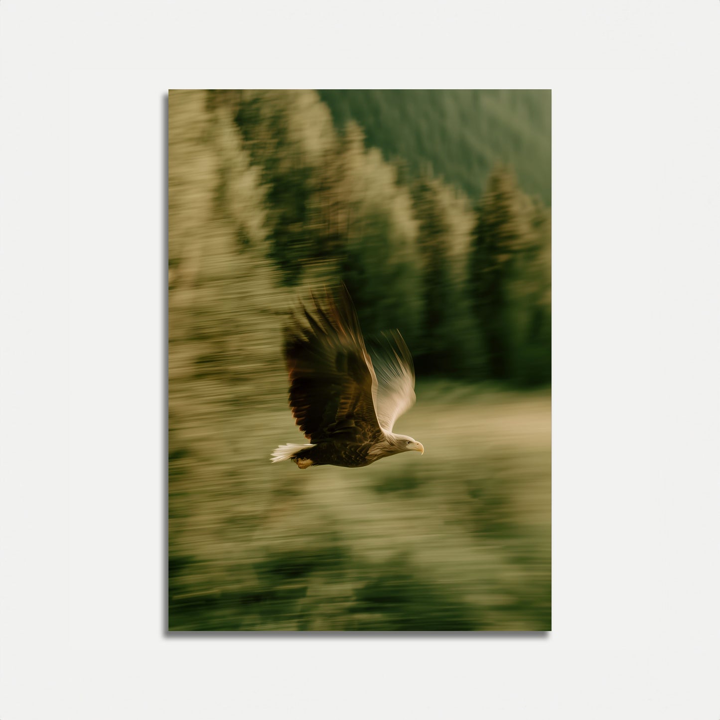 Aufsteigender Adler Waldposter
