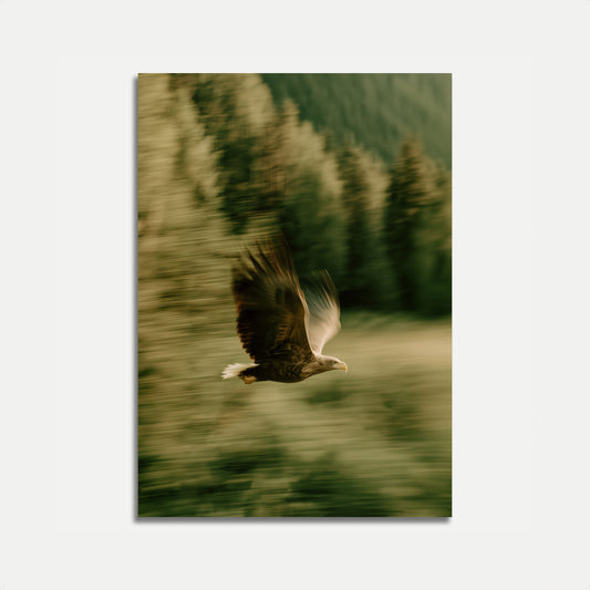 Vliegende Adelaar Bos Poster