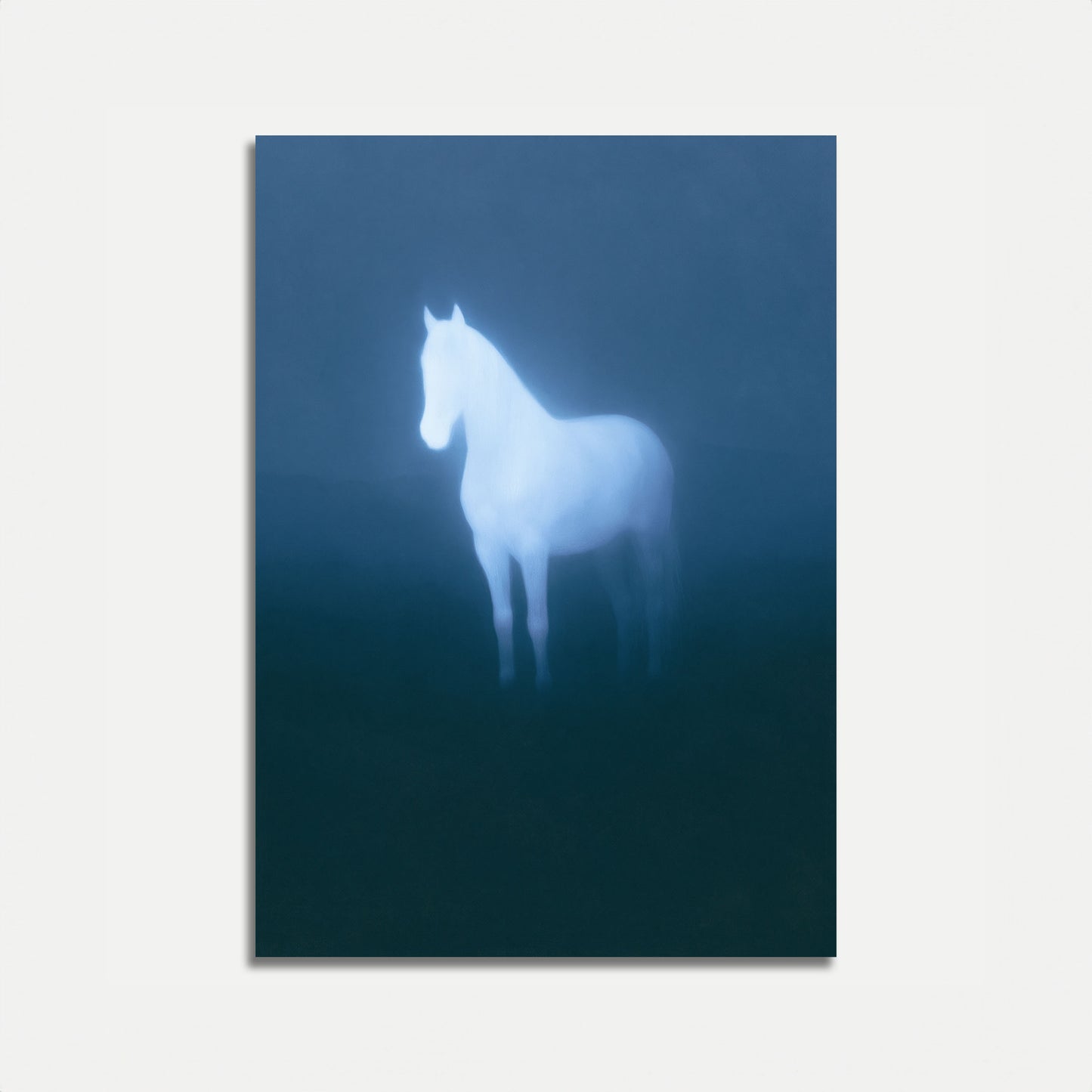 Poster Cavallo Bianco Luminoso