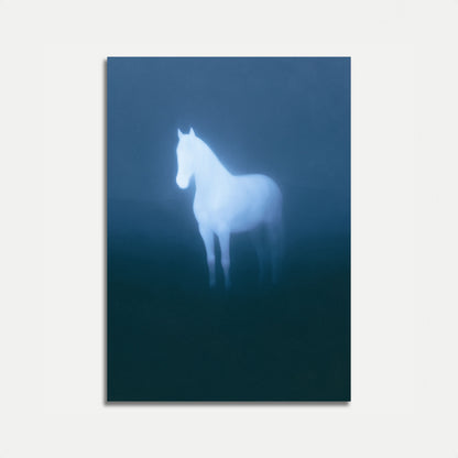Poster Cavallo Bianco Luminoso