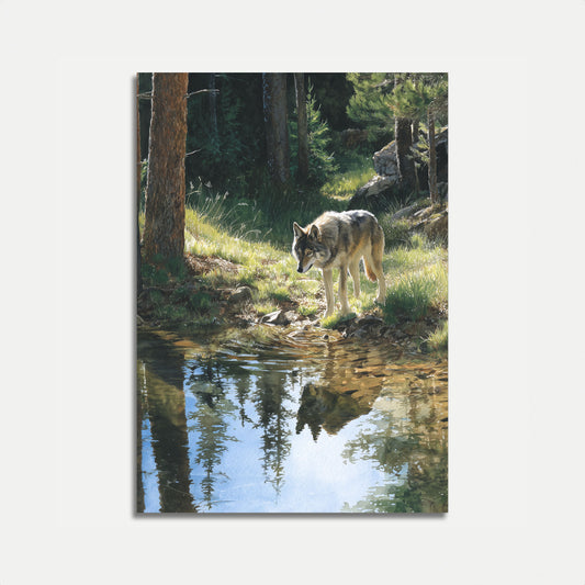 Woodland Wolf Reflection Poster