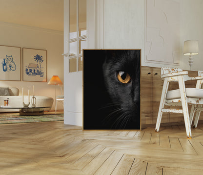 Pôster de Gato Preto Olhar Dourado