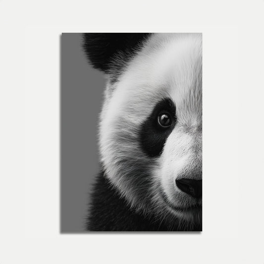 Intense Panda Gaze Poster