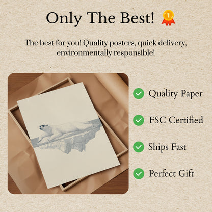 Póster genial de oso polar sobre hielo