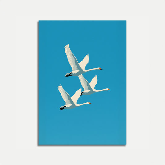 Póster de elegantes cisnes en vuelo