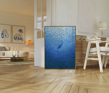 Shark Swimming in Ocean Poster