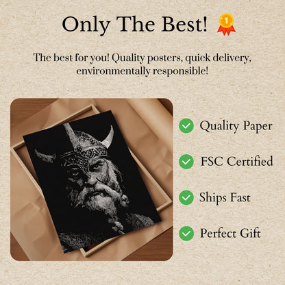 Vred Viking Kriger Plakat