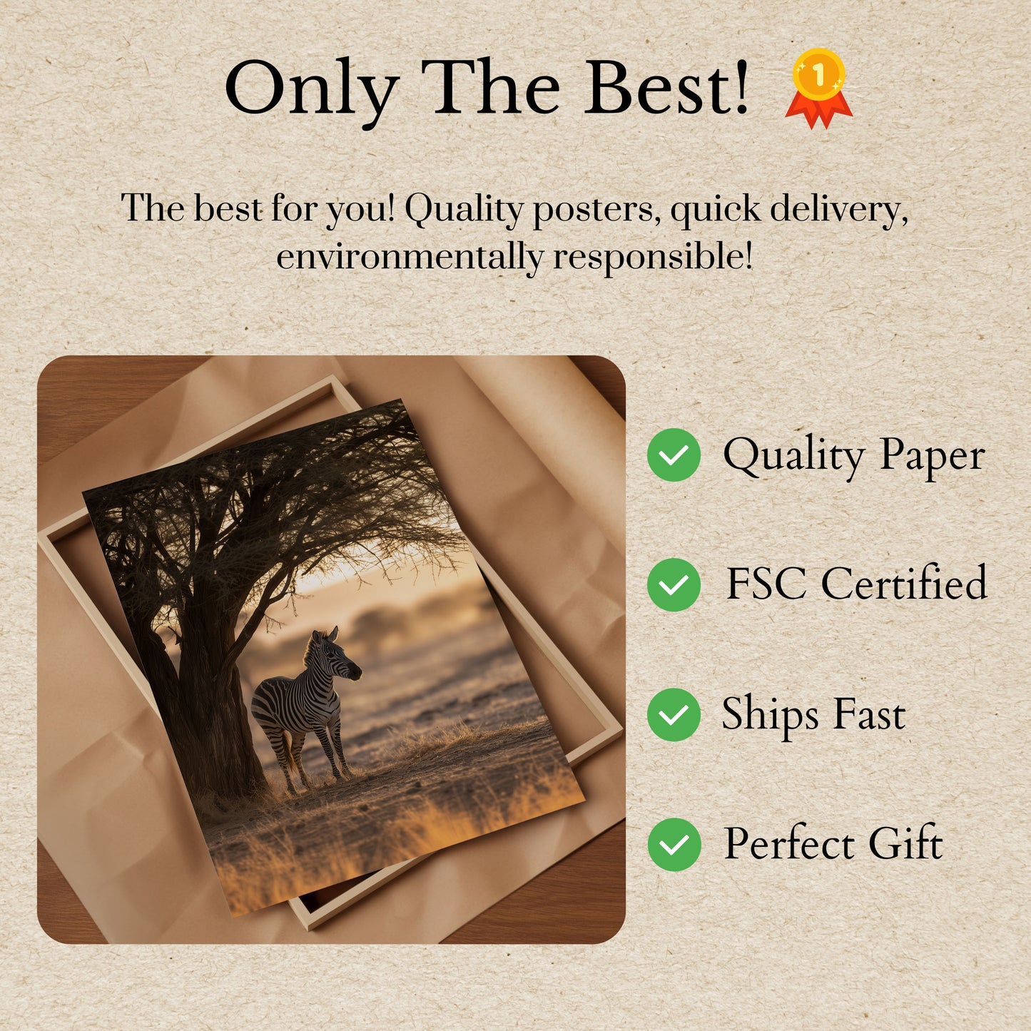 Lone Zebra Under Acacia Poster