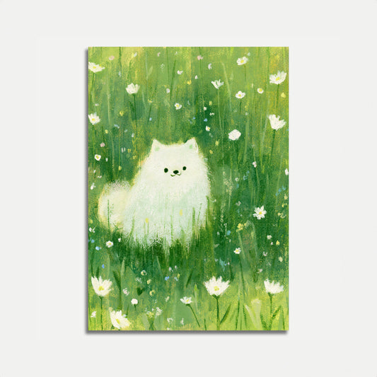 Póster Gato Blanco en Prado de Flores