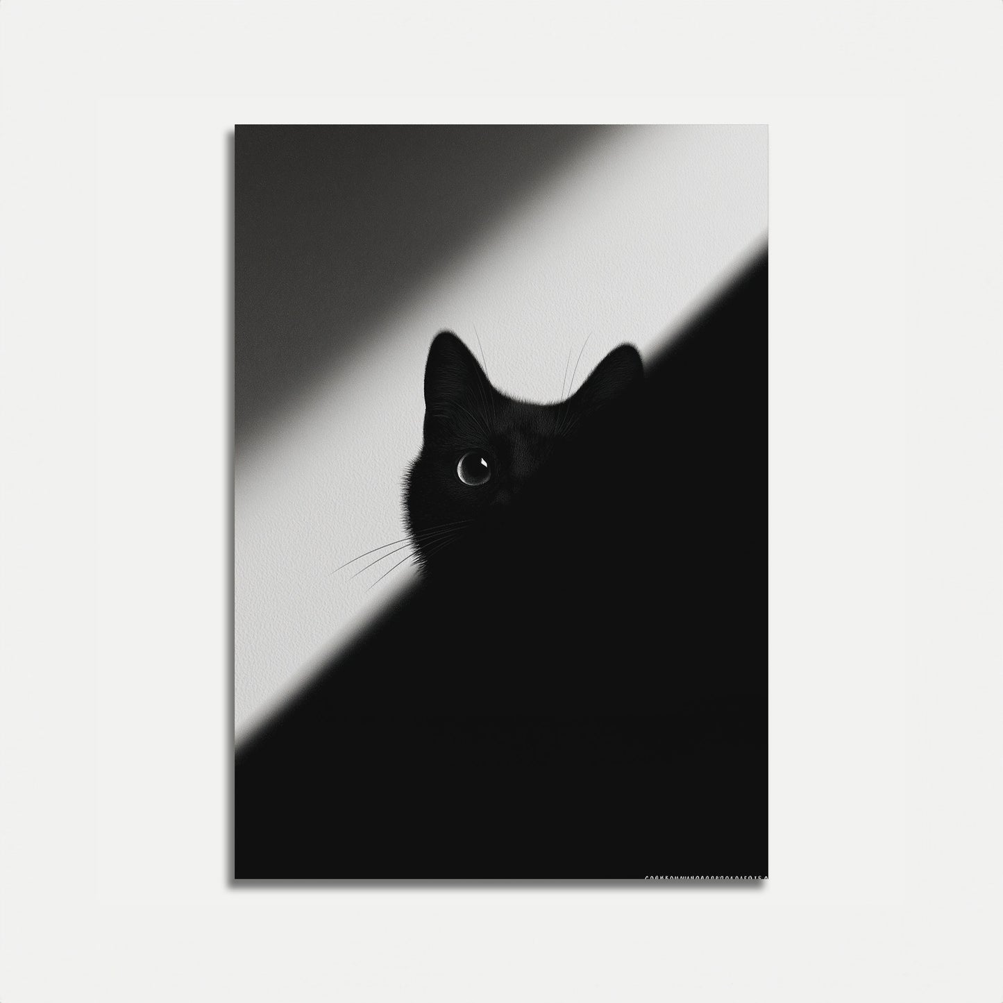 Mysterious Black Cat Poster