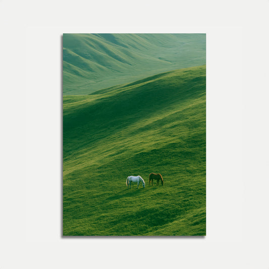 Grazing Horses in Rolling Hills Poster