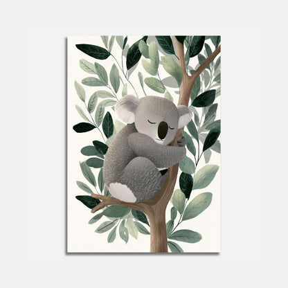 Sovende Koala i Eukalyptus Plakat