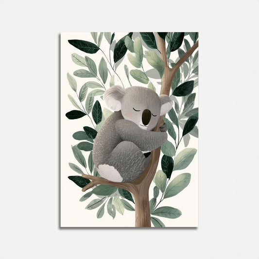 Sovende Koala i Eukalyptus Plakat