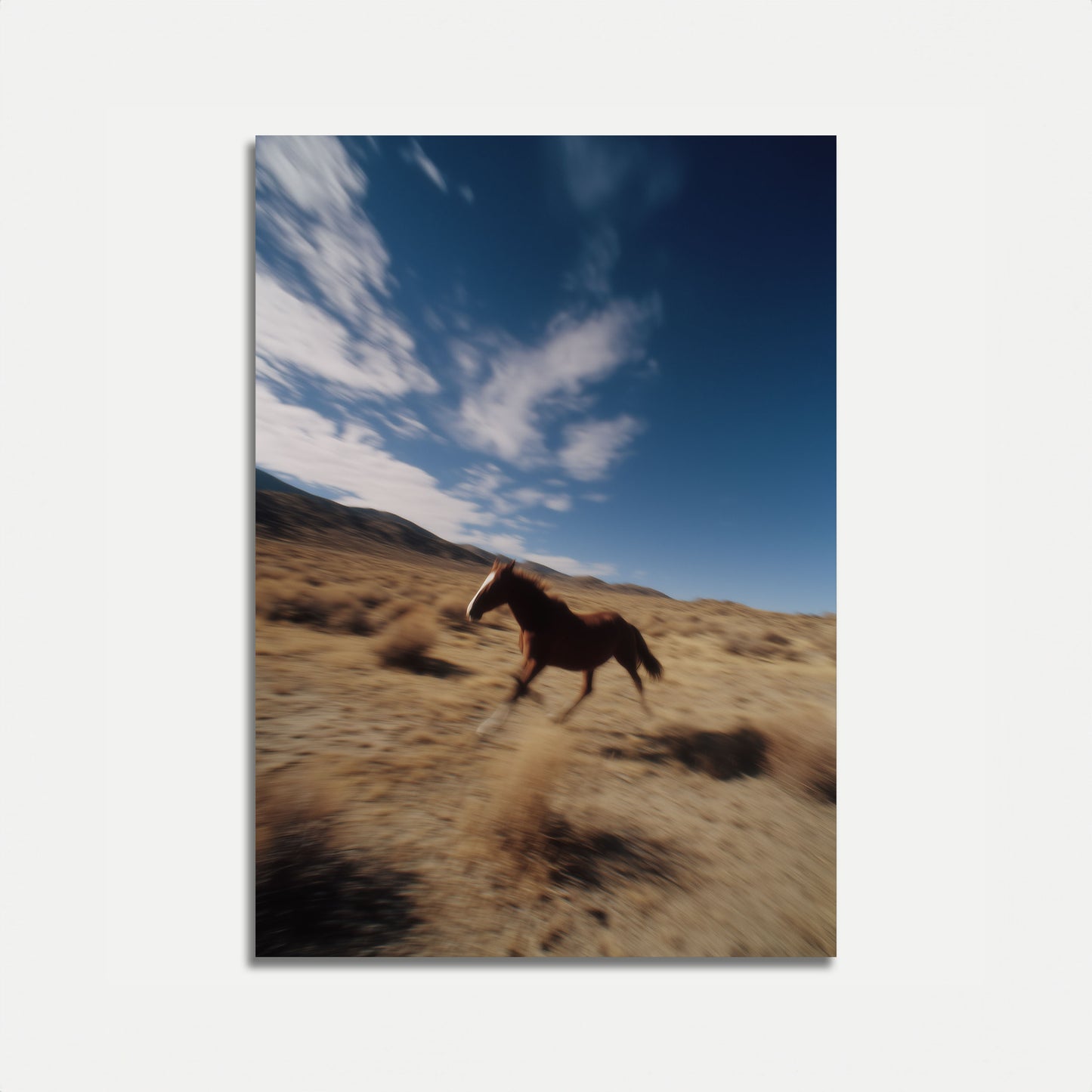 Wild Horse Running Desert Poster