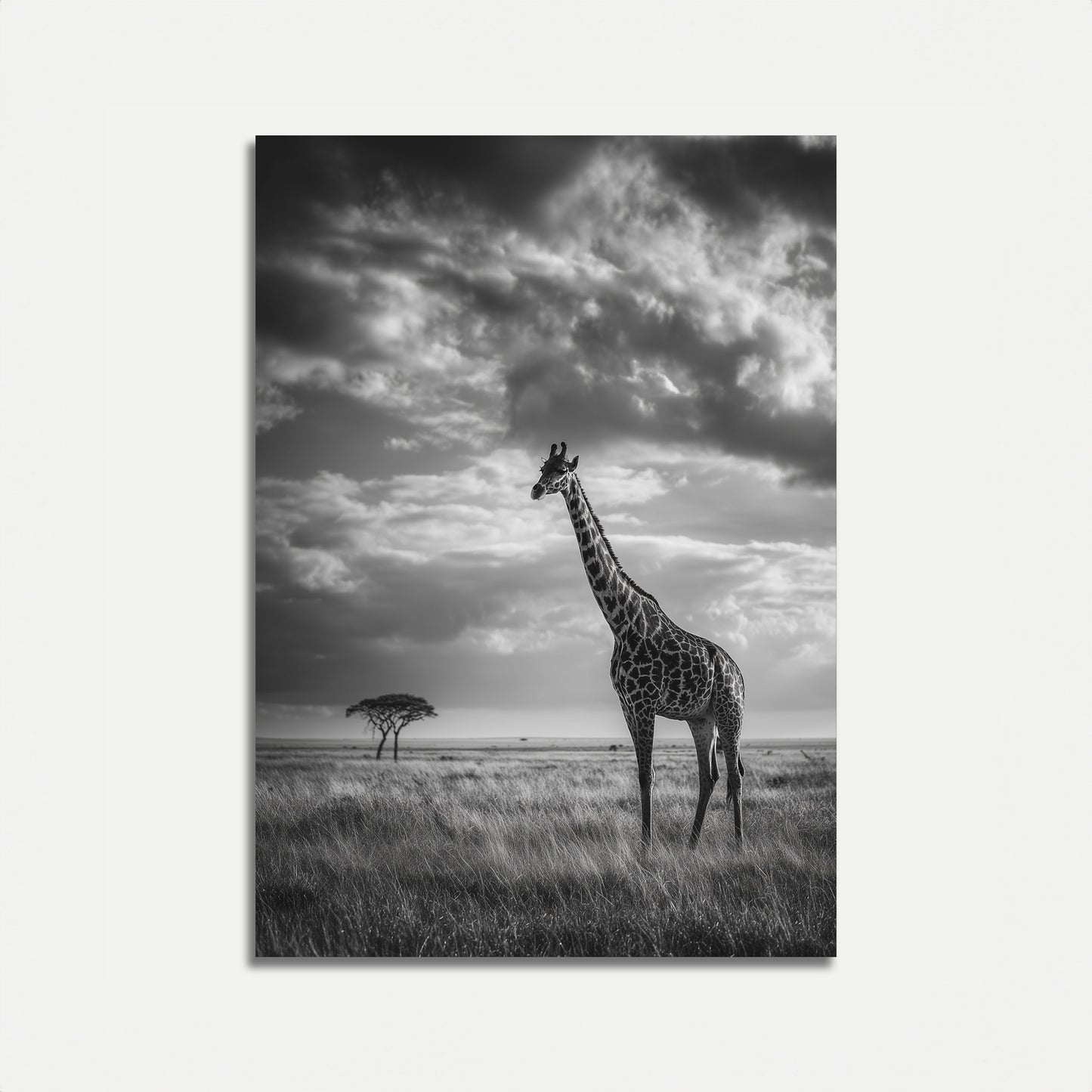 Póster de jirafa solitaria en la naturaleza