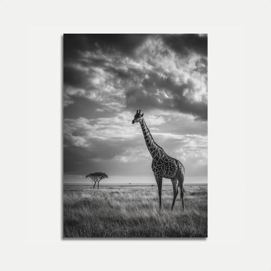 Póster de jirafa solitaria en la naturaleza